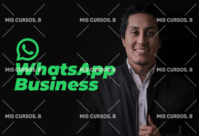 whatsapp-business-de-diego-vallejos_64254a9d29dff
