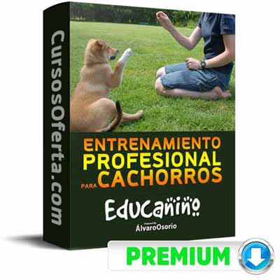 curso educanino alvaro osorio 651ae8b43175d