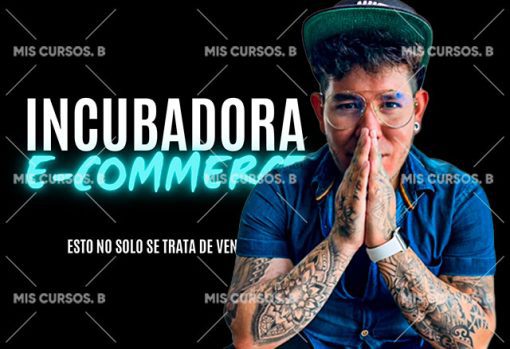 incubadora e commerce de fabian hernandez 651b875983176