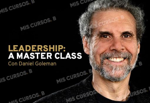 leadership a master class de daniel goleman 651b8408de375