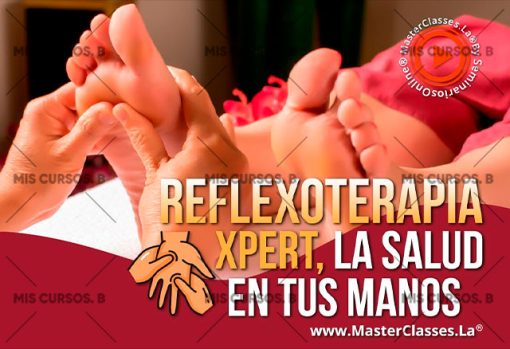reflexoterapia xpert la salud en tu manos 651b87db31680